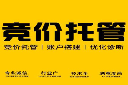 竞价推广公司案例揭秘：如何利用数据分析提升广告效果